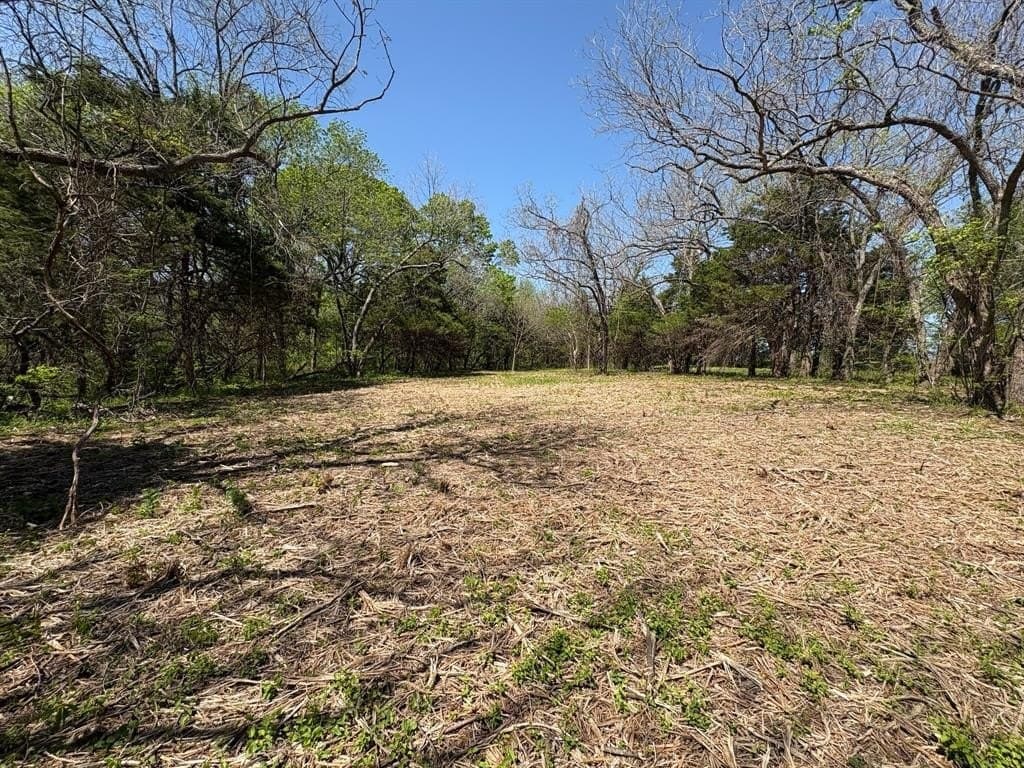3.69 acres in Grayson County - photo 4