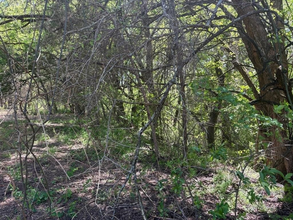 3.69 acres in Grayson County - photo 15