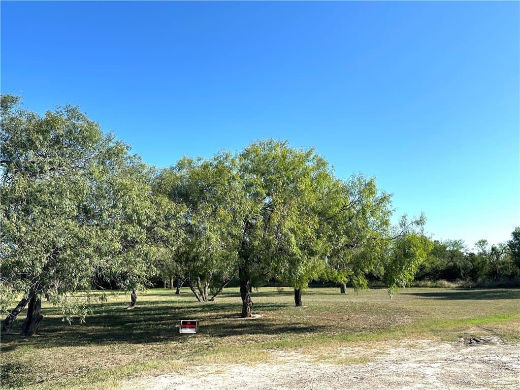 0.69 acres in San Patricio County - photo 2