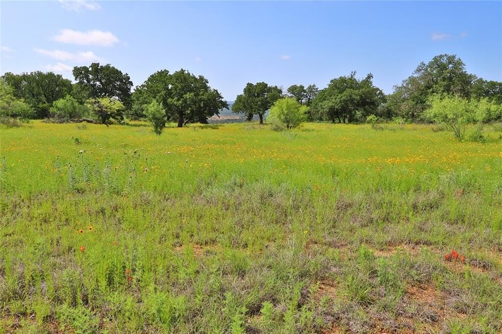 1.01 acres in Palo Pinto County - photo 10