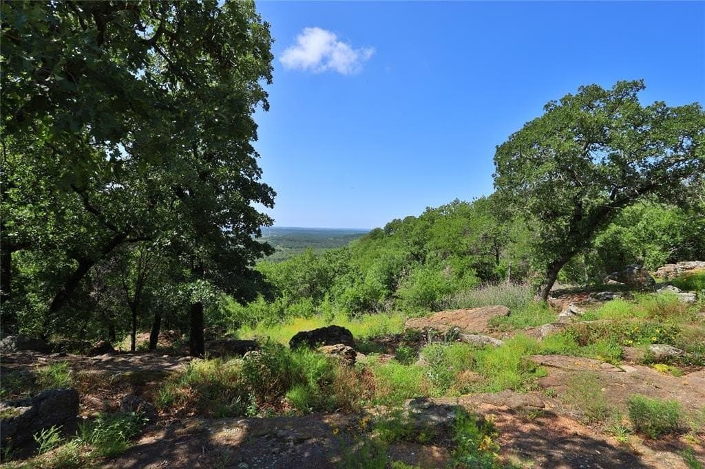 1.01 acres in Palo Pinto County - photo 4