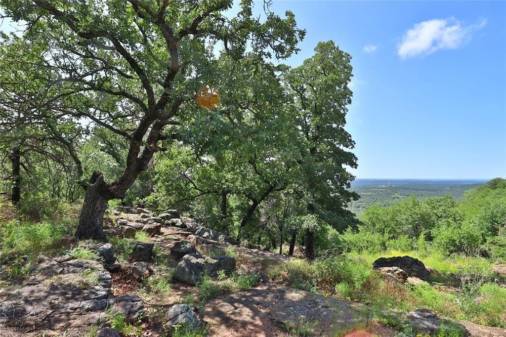 1.01 acres in Palo Pinto County - photo 3