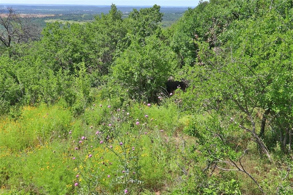 1.01 acres in Palo Pinto County - photo 13