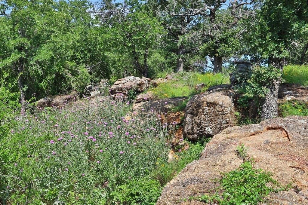 1.01 acres in Palo Pinto County - photo 12