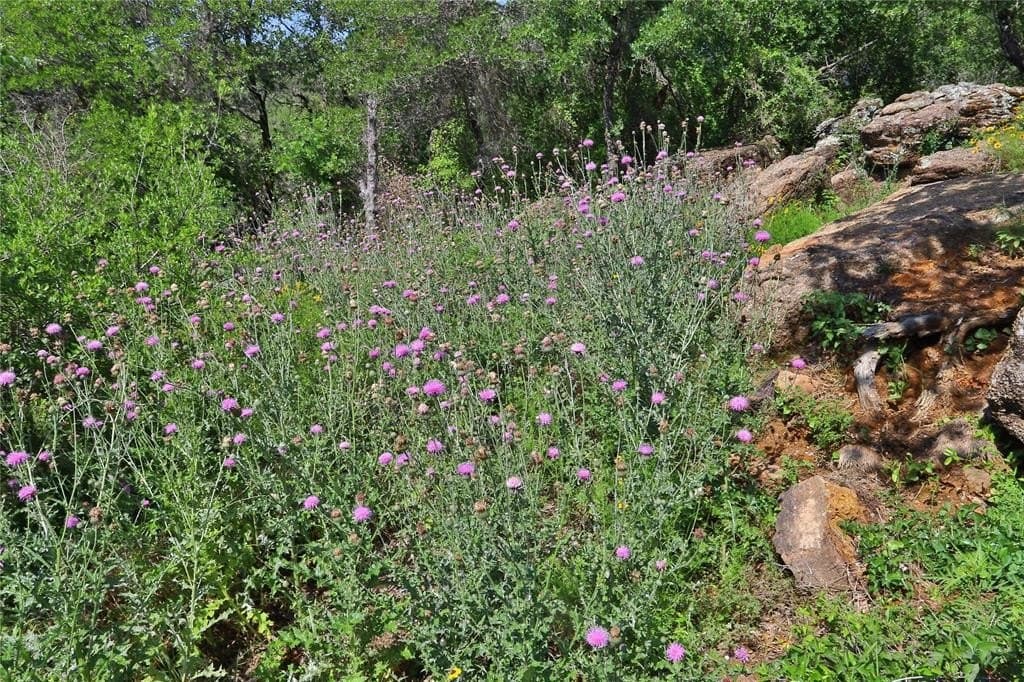 1.01 acres in Palo Pinto County - photo 14