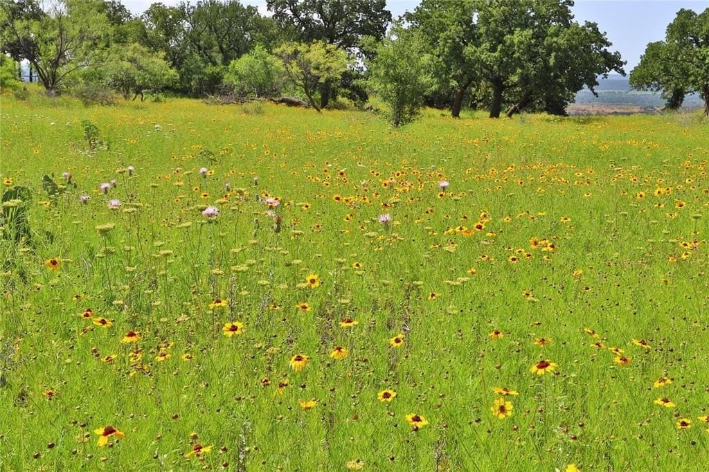 1.01 acres in Palo Pinto County - photo 8