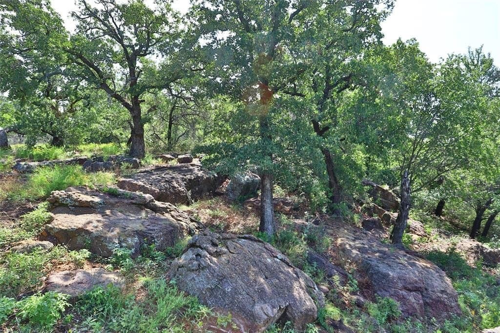 1.01 acres in Palo Pinto County - photo 5