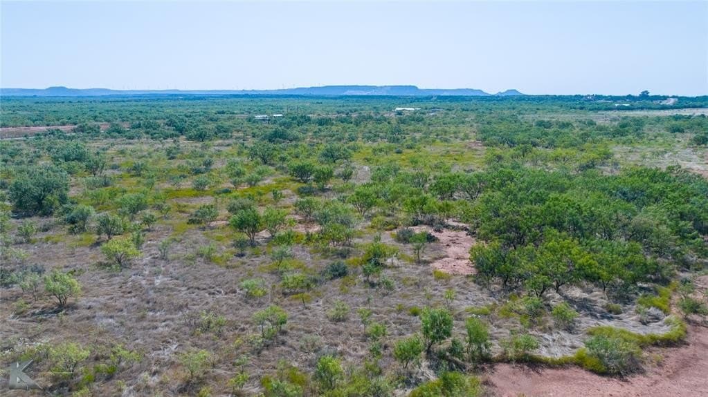 18.09 acres in Taylor County - photo 10