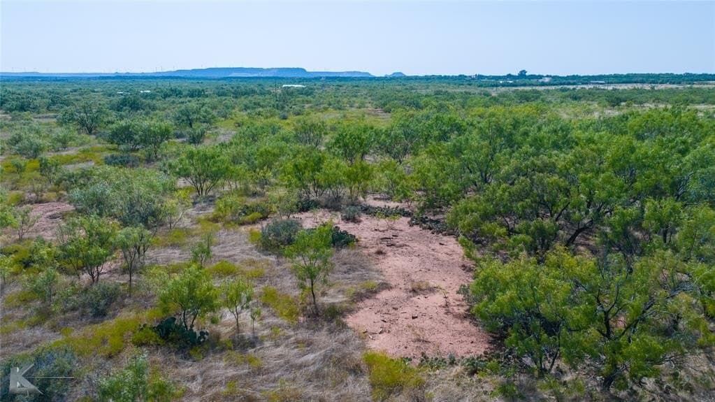 18.09 acres in Taylor County - photo 11