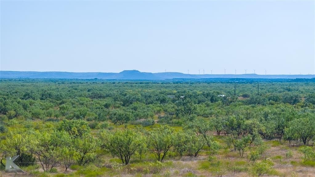 18.09 acres in Taylor County - photo 13