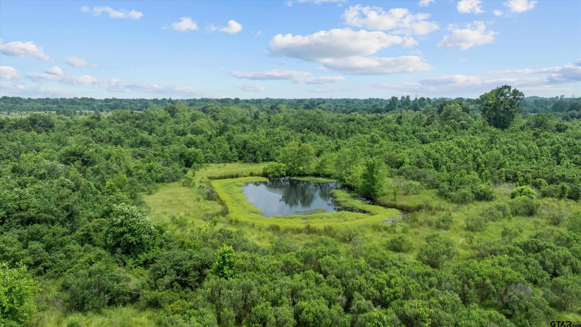 12.43 acres in Van Zandt County - photo 15