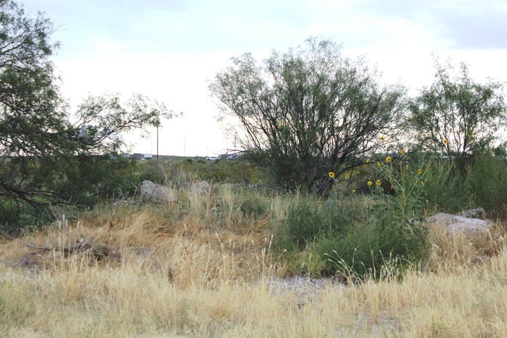 0 acres in Pecos County - photo 8
