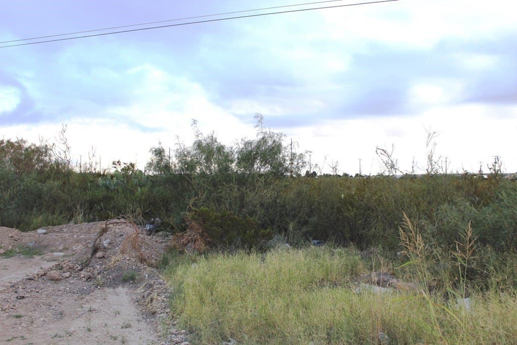 0 acres in Pecos County - photo 4
