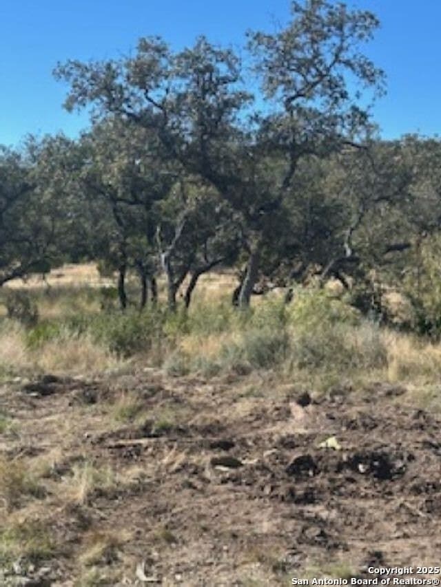 41.95 acres in Edwards County - photo 28