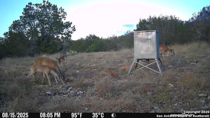 41.95 acres in Edwards County - photo 12