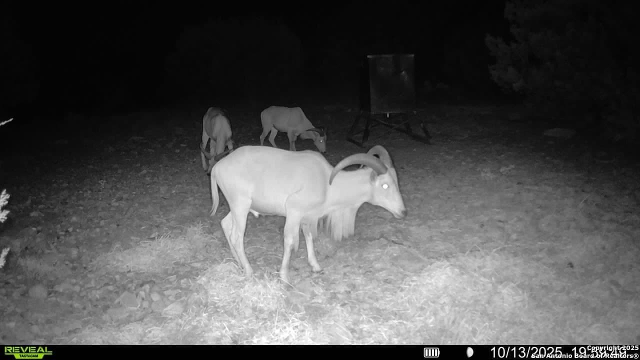 41.95 acres in Edwards County - photo 5