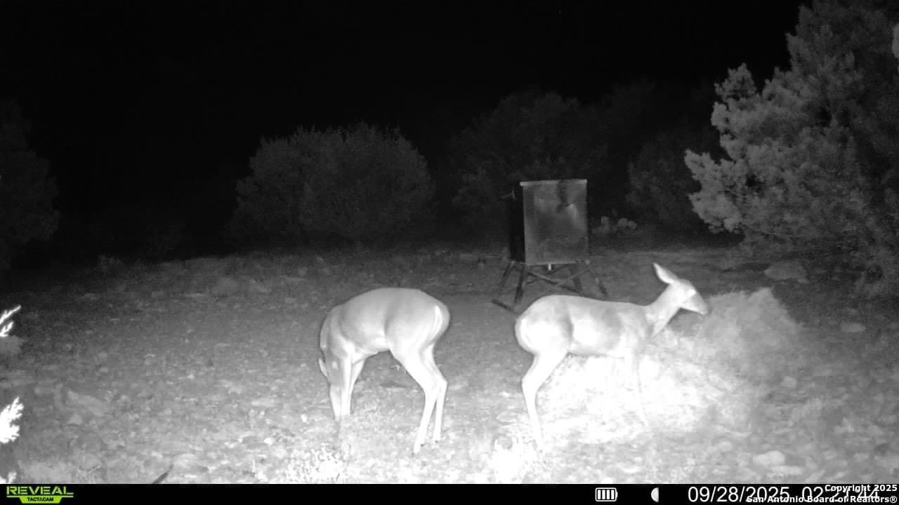 41.95 acres in Edwards County - photo 3