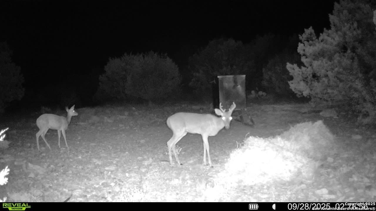 41.95 acres in Edwards County - photo 2