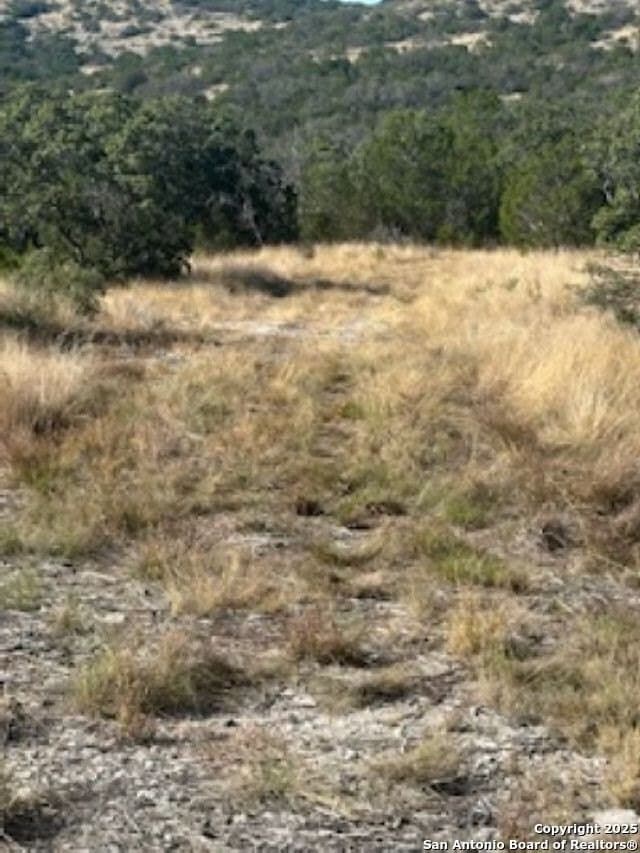 41.95 acres in Edwards County - photo 18