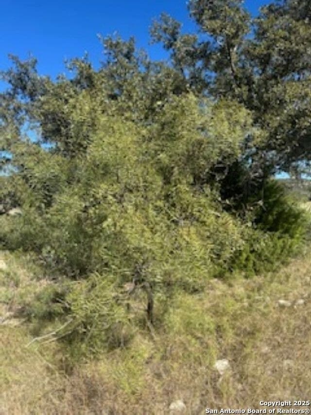 41.95 acres in Edwards County - photo 29