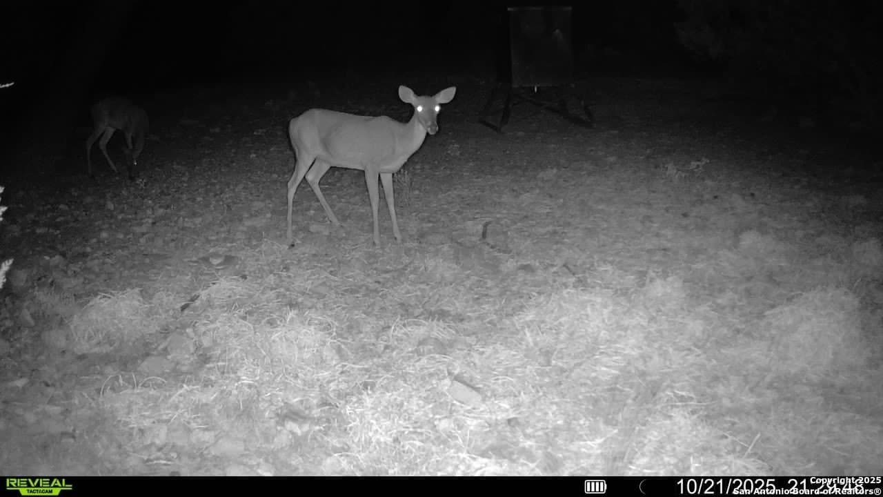 41.95 acres in Edwards County - photo 6