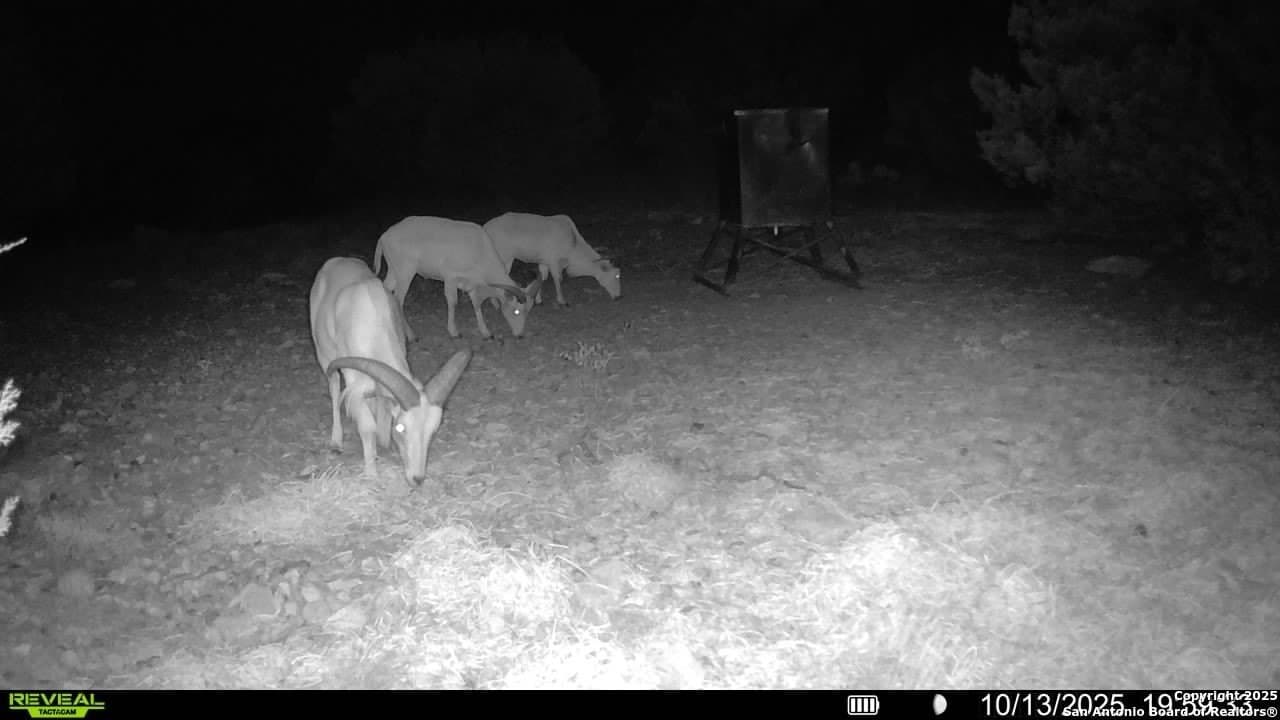 41.95 acres in Edwards County - photo 4