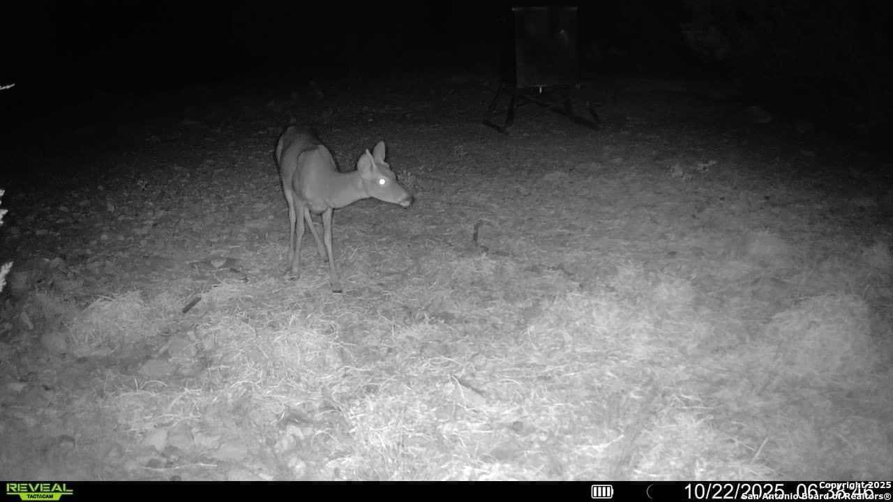 41.95 acres in Edwards County - photo 7