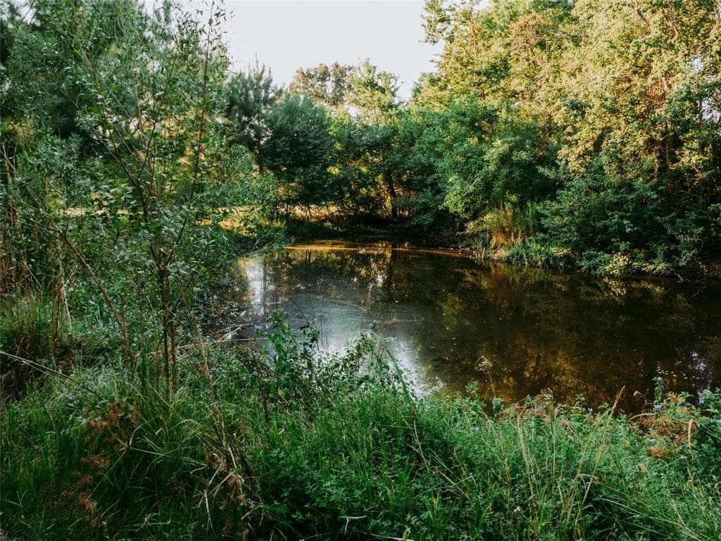 10 acres in Cherokee County - photo 2