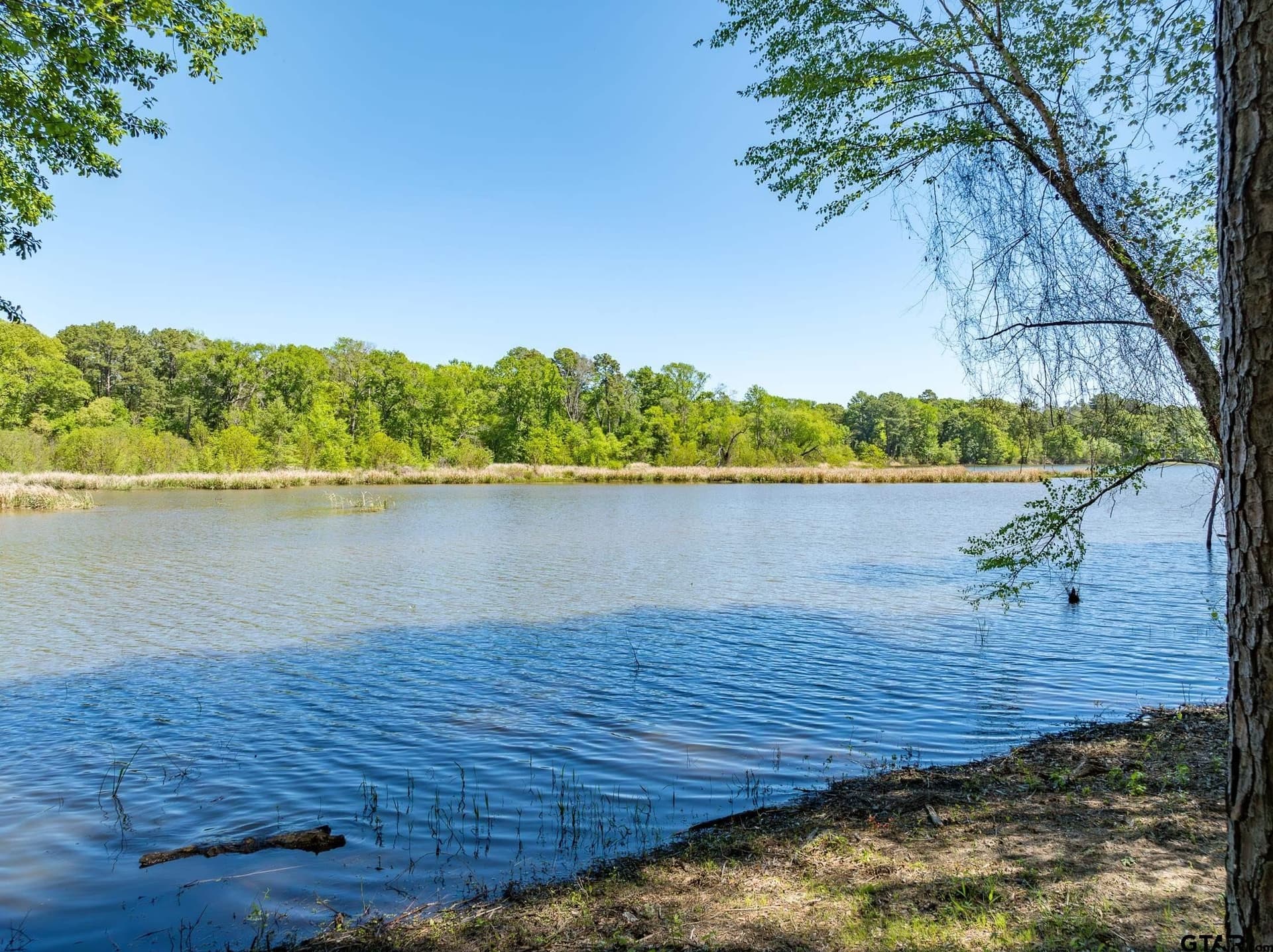22.38 acres in Henderson County - photo 5