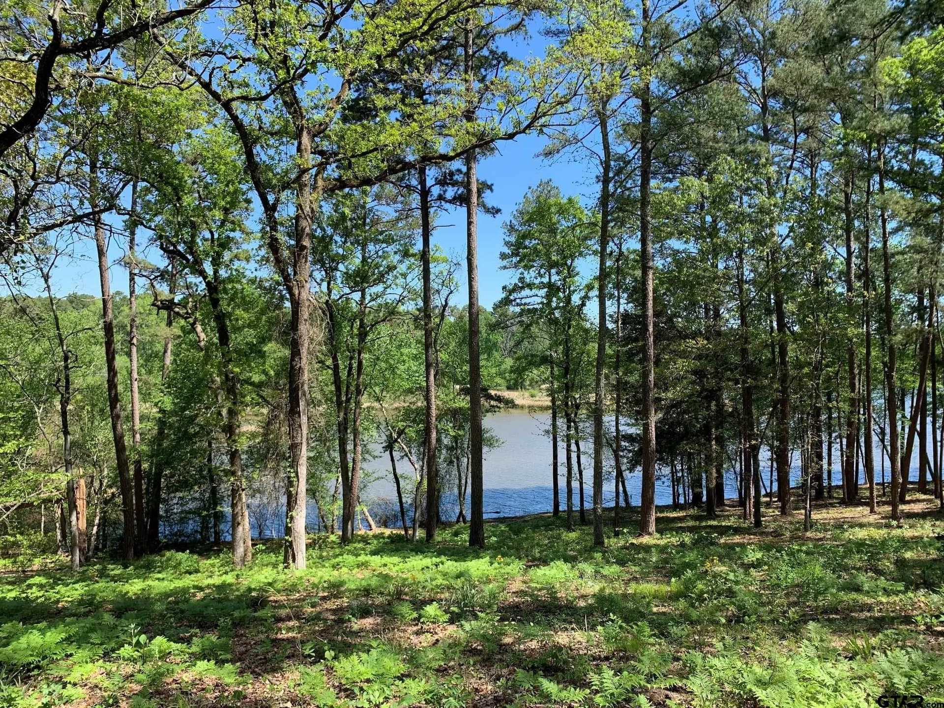 22.38 acres in Henderson County - photo 4