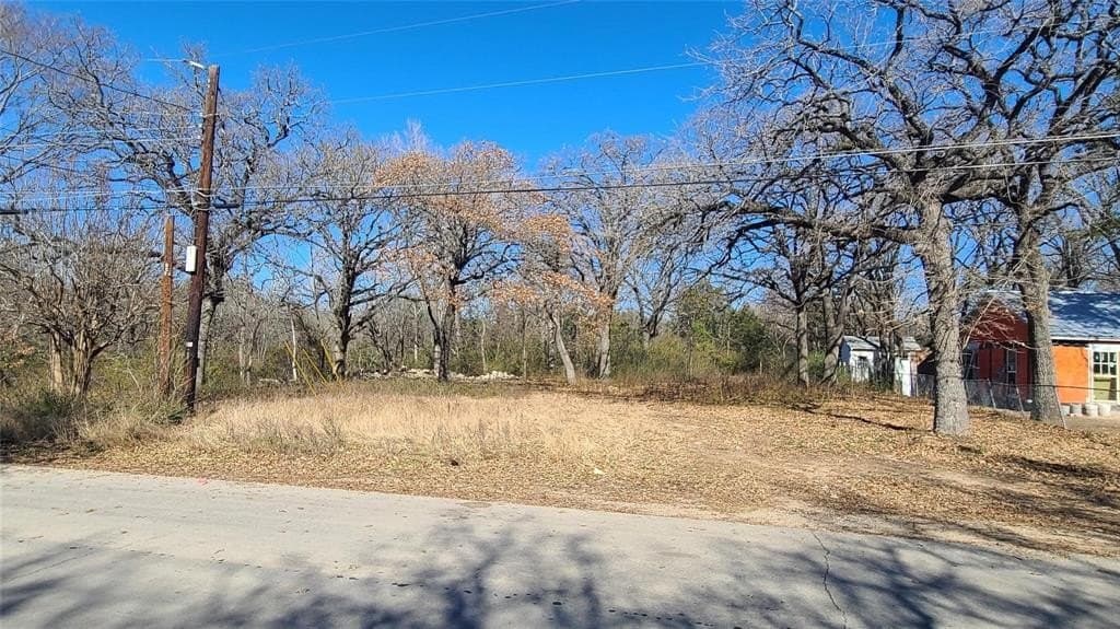 0.68 acres in Dallas County - photo 3