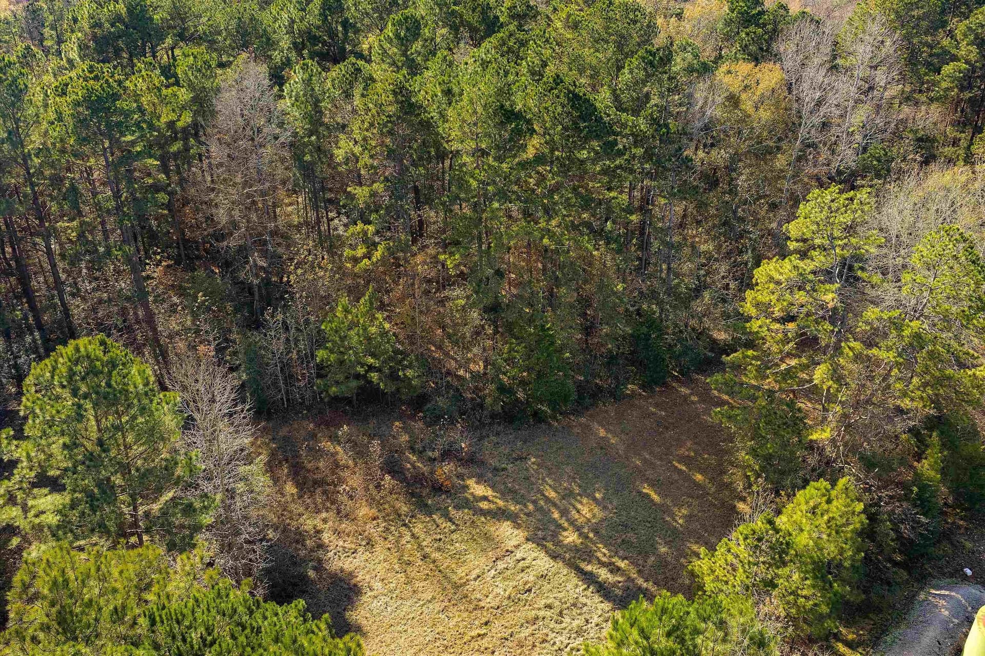 19.65 acres in Texas County - photo 10