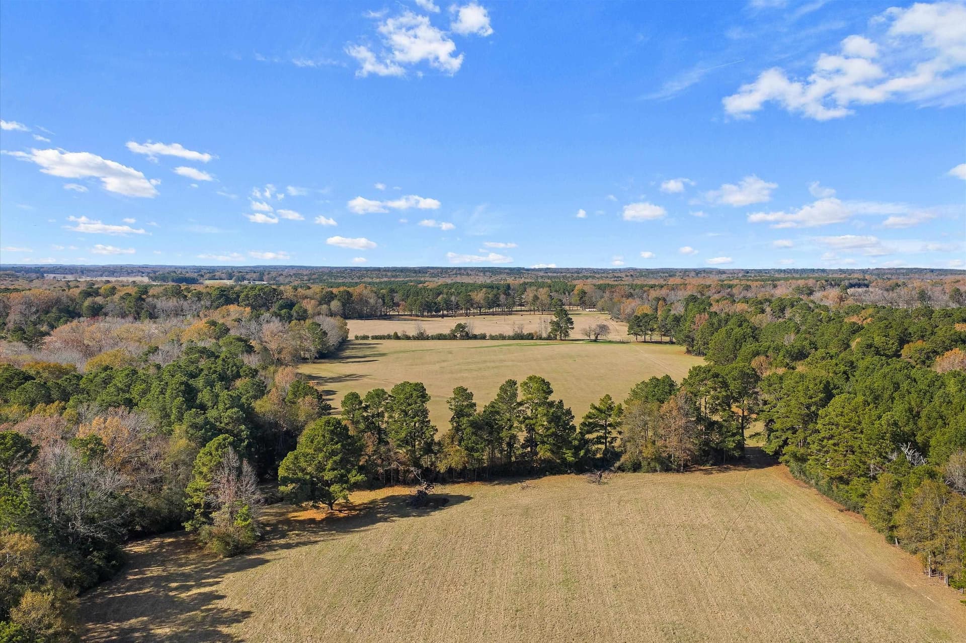 19.65 acres in Texas County - photo 7