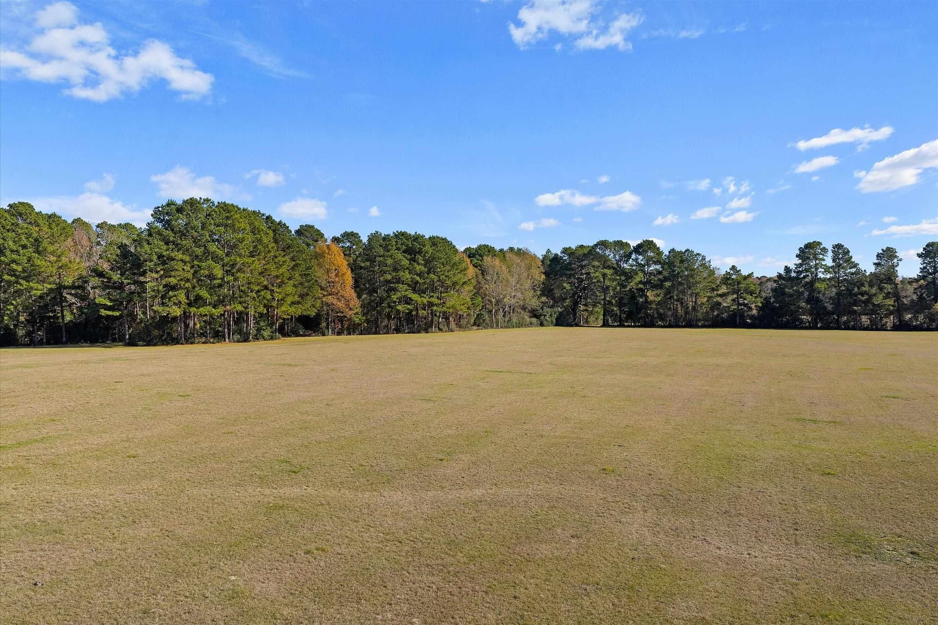 19.65 acres in Texas County - photo 11
