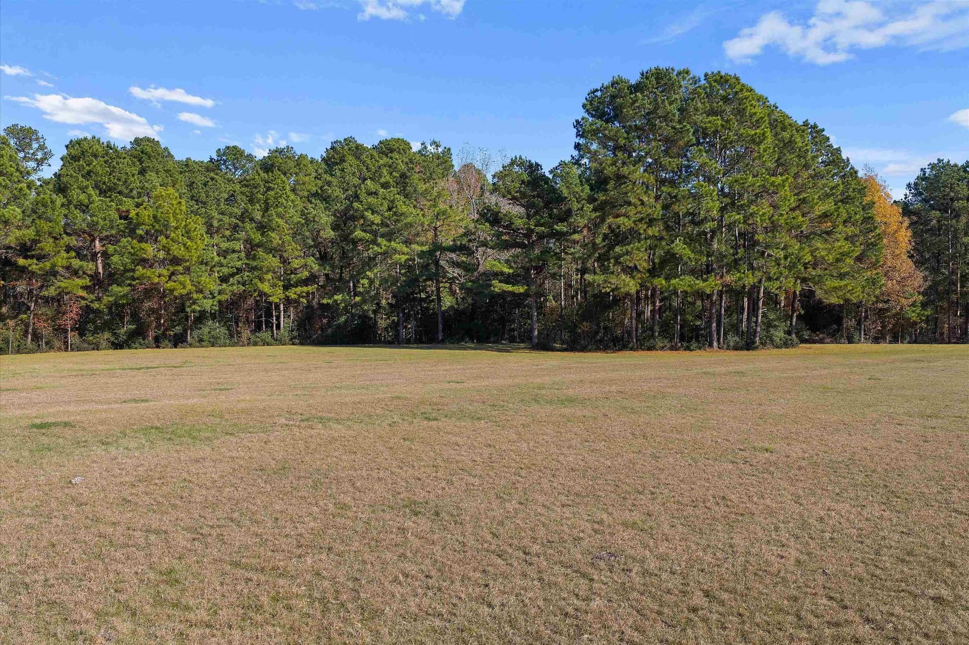 19.65 acres in Texas County - photo 3