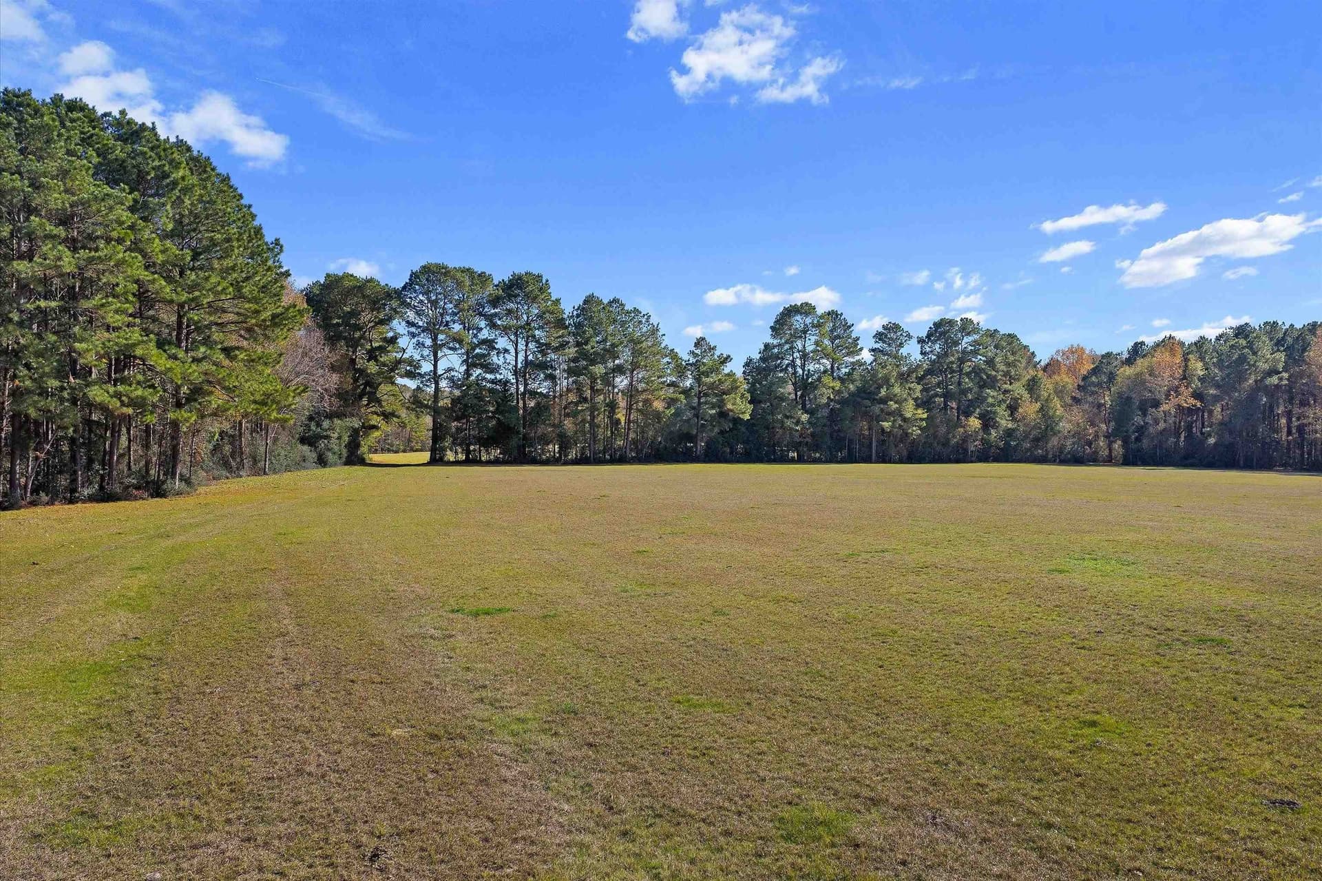 19.65 acres in Texas County - photo 4
