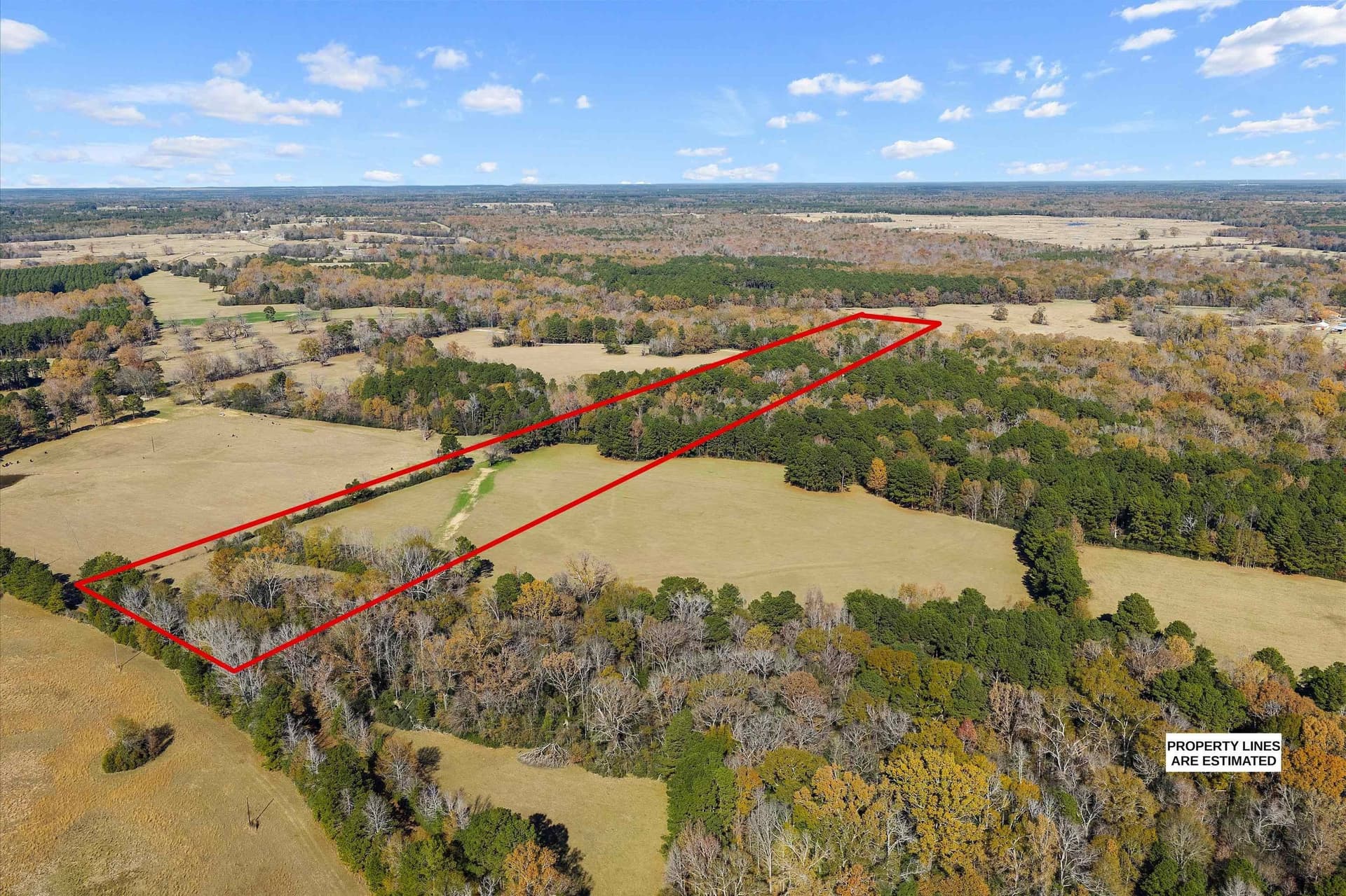 19.65 acres in Texas County - photo 2