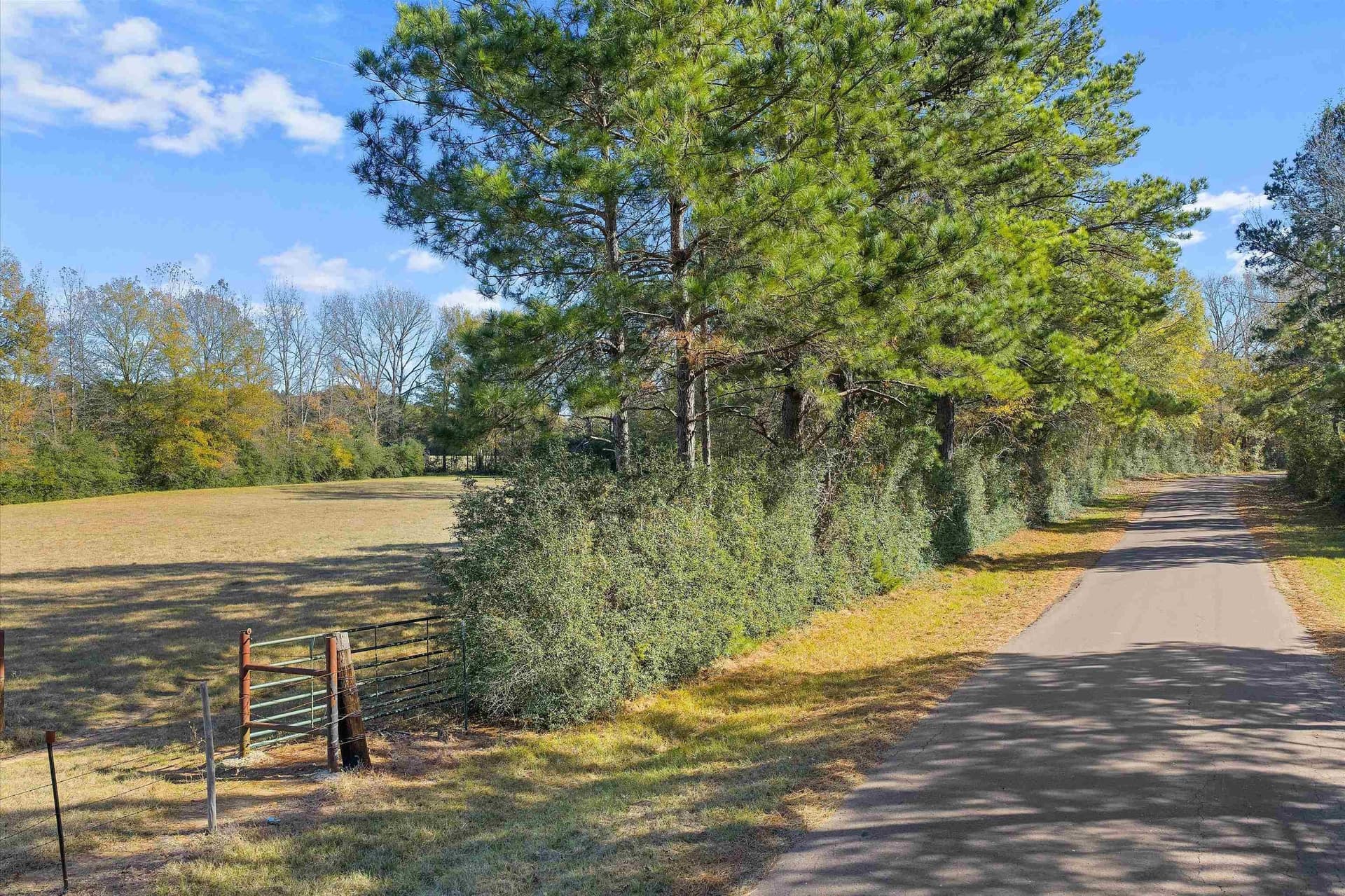 19.65 acres in Texas County - photo 16