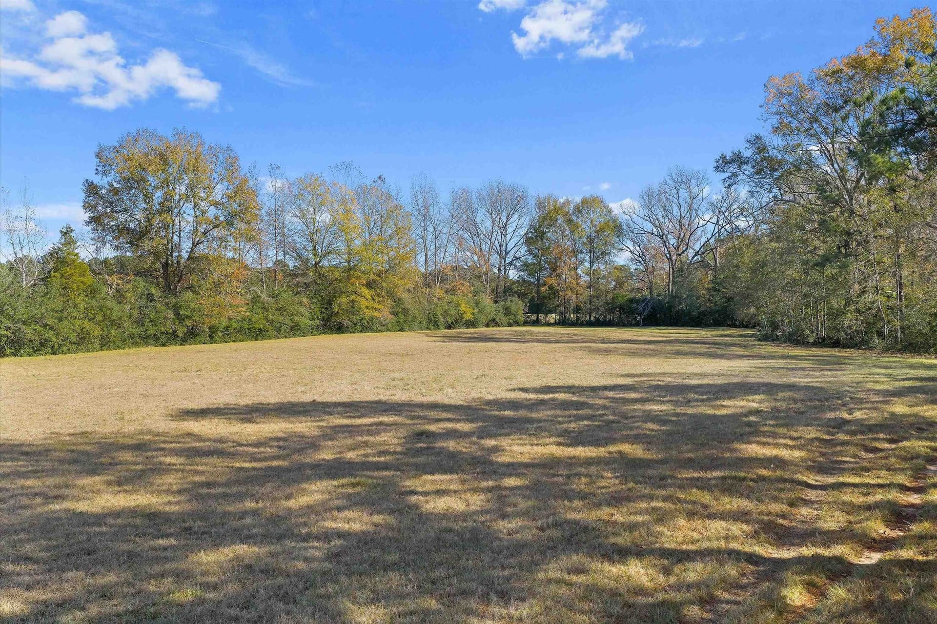 19.65 acres in Texas County - photo 12