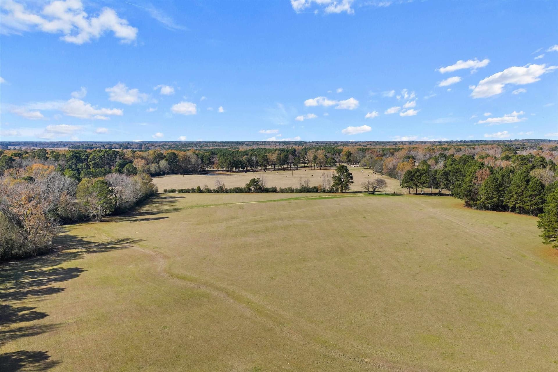 19.65 acres in Texas County - photo 8