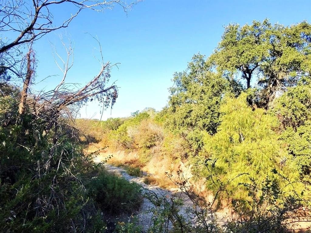 200 acres in Erath County - photo 16