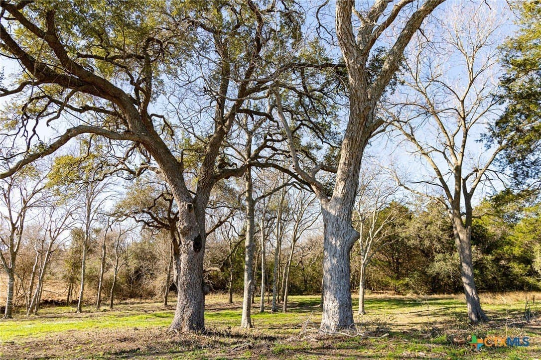 1.6 acres in Lavaca County - photo 2