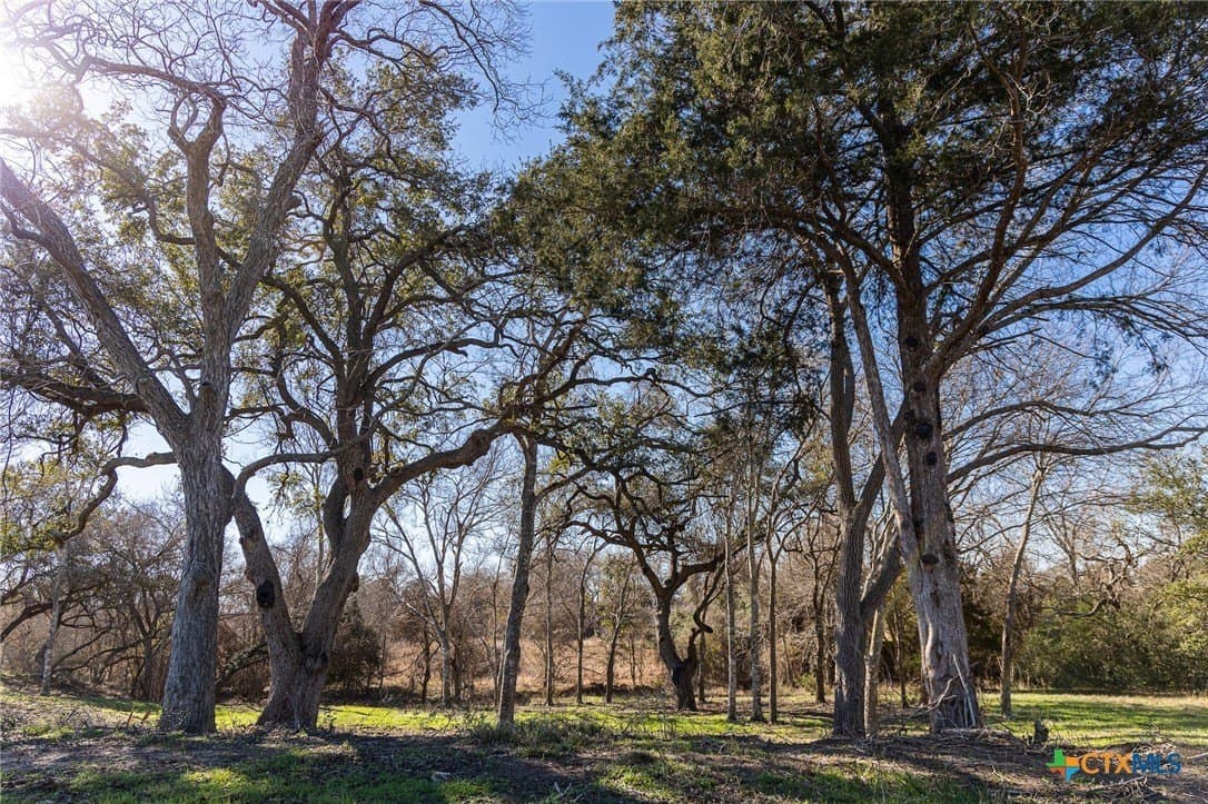 1.6 acres in Lavaca County - photo 3