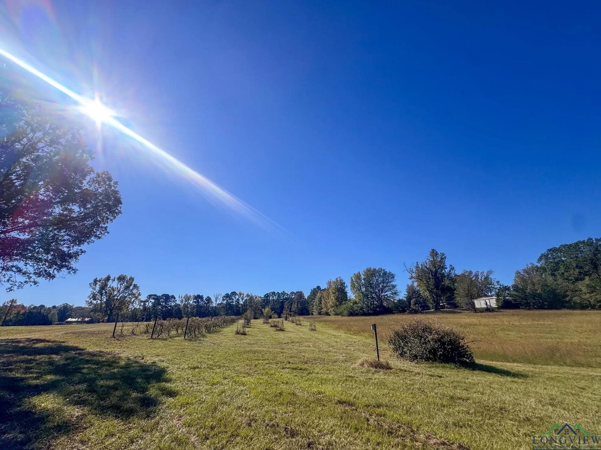 24.18 acres in Cass County - photo 42