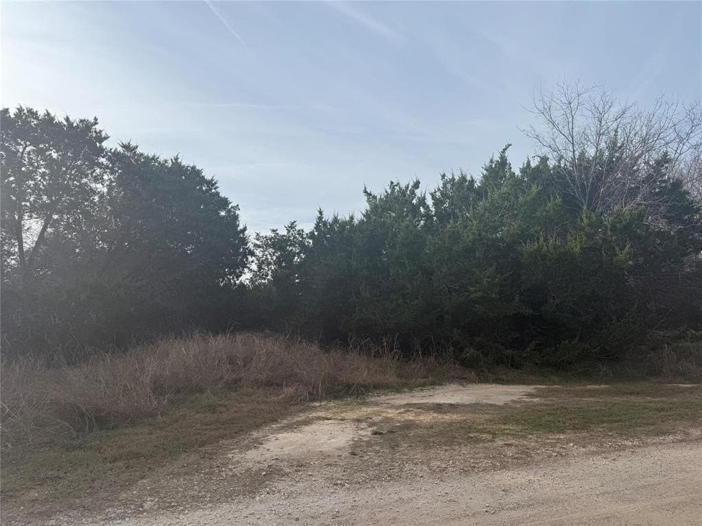 0.08 acres in Bell County - photo 3
