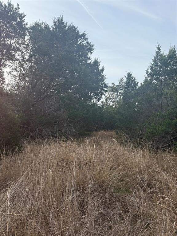 0.08 acres in Bell County - photo 5
