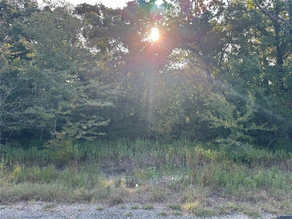 5 acres in Kaufman County - photo 3