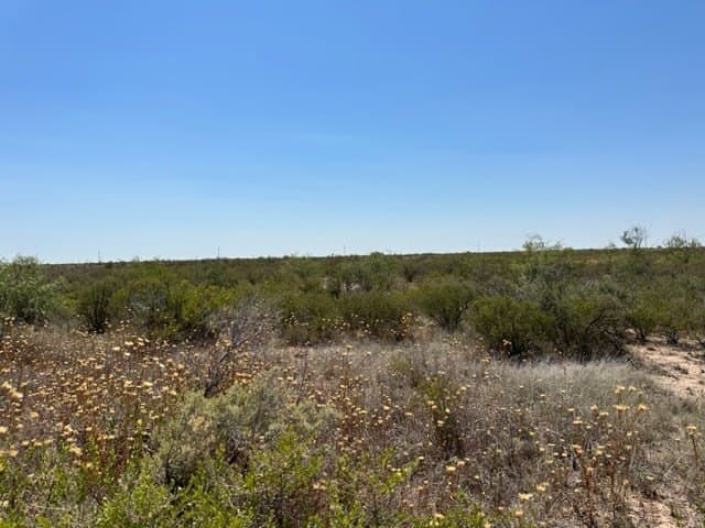 35.33 acres in Ector County - photo 3