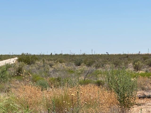 35.33 acres in Ector County - photo 2