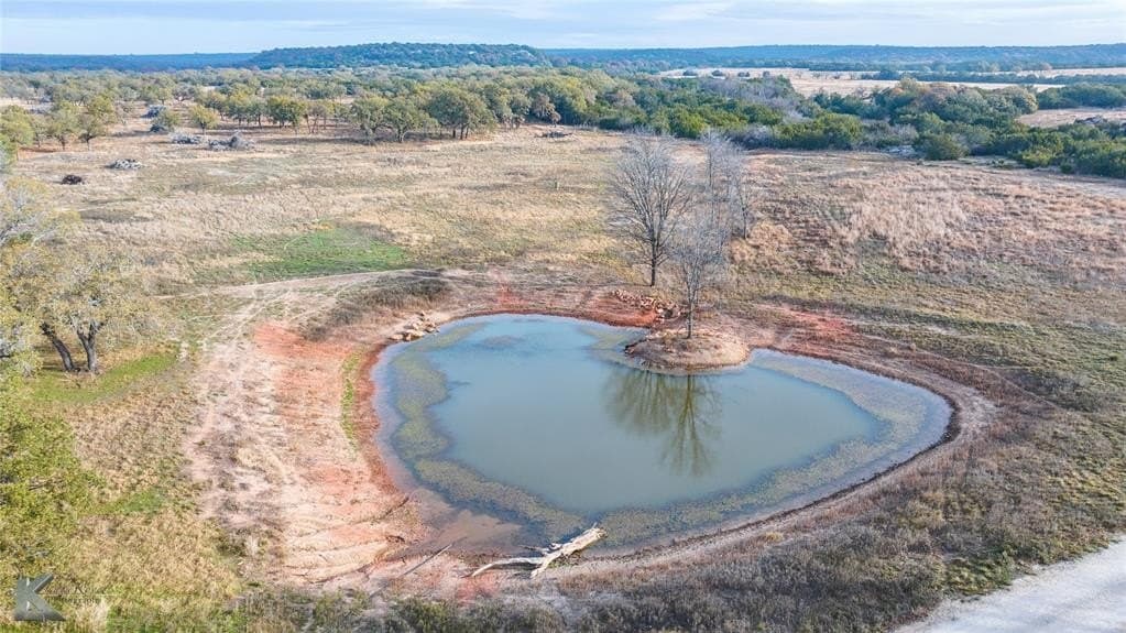 403 acres in Taylor County - photo 26